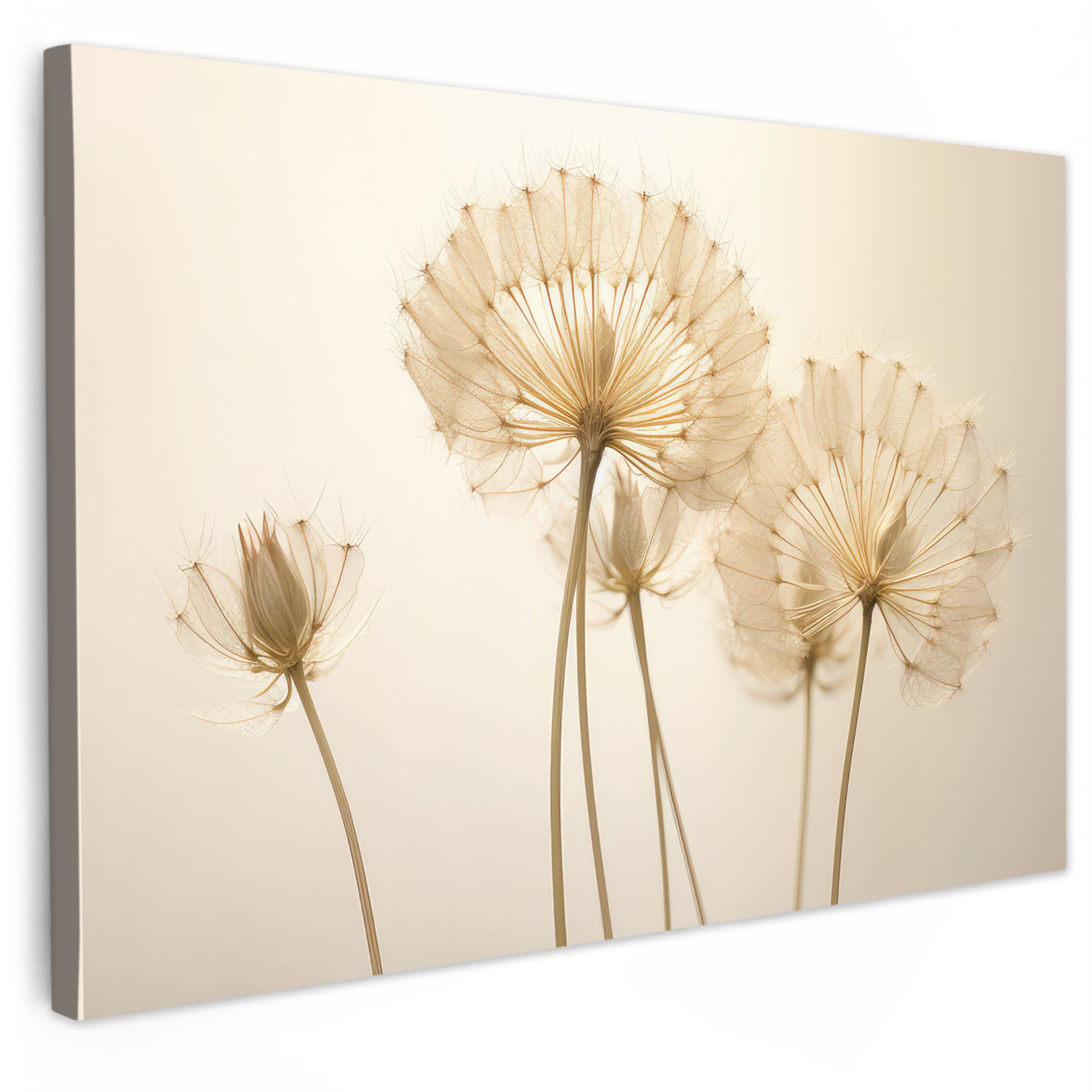 LEINWANDBILD Sonnenlicht - Löwenzahn - Botanisch - Blumen Groß 140x90 cm - Creme, Textil (140/90cm) - MuchoWow