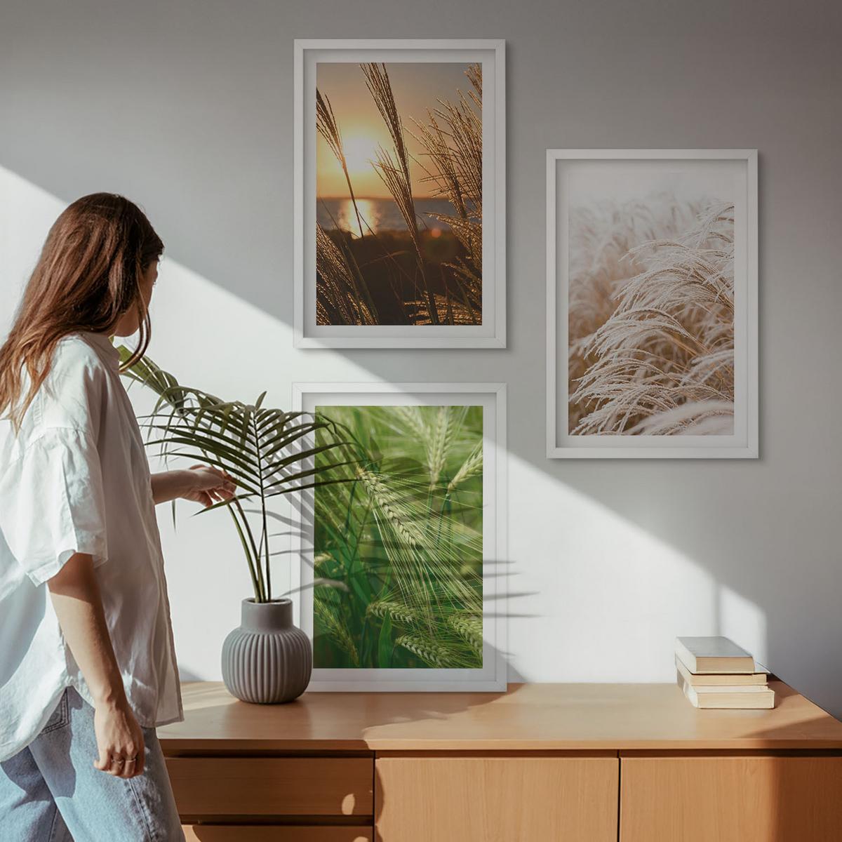 BILDER SET 3er Set - 40x60 cm Weißer Rahmen - Gräser farbenfrohe Natur - Weiß, Kunststoff (40/60cm) - TULUP