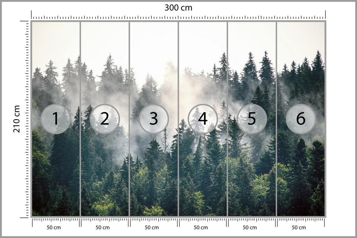 FOTOTAPETE für Wohnzimmer Nebeliger Nadelwald Berg Mystik Bäume 300x210 - Weiß/Grün, Papier (300/210cm) - Muralo