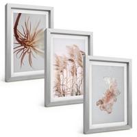 BILDER SET 3er Set - 20x30 cm Silberner Rahmen - Set aus Gras, Blumen und hellem Hintergrund - Silberfarben, Kunststoff (20/30cm) - TULUP