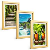 BILDER SET 3er Set - 20x30 cm Goldrahmen - Tropischer Wald Papageienwasserfall - Goldfarben, Kunststoff (20/30cm) - TULUP
