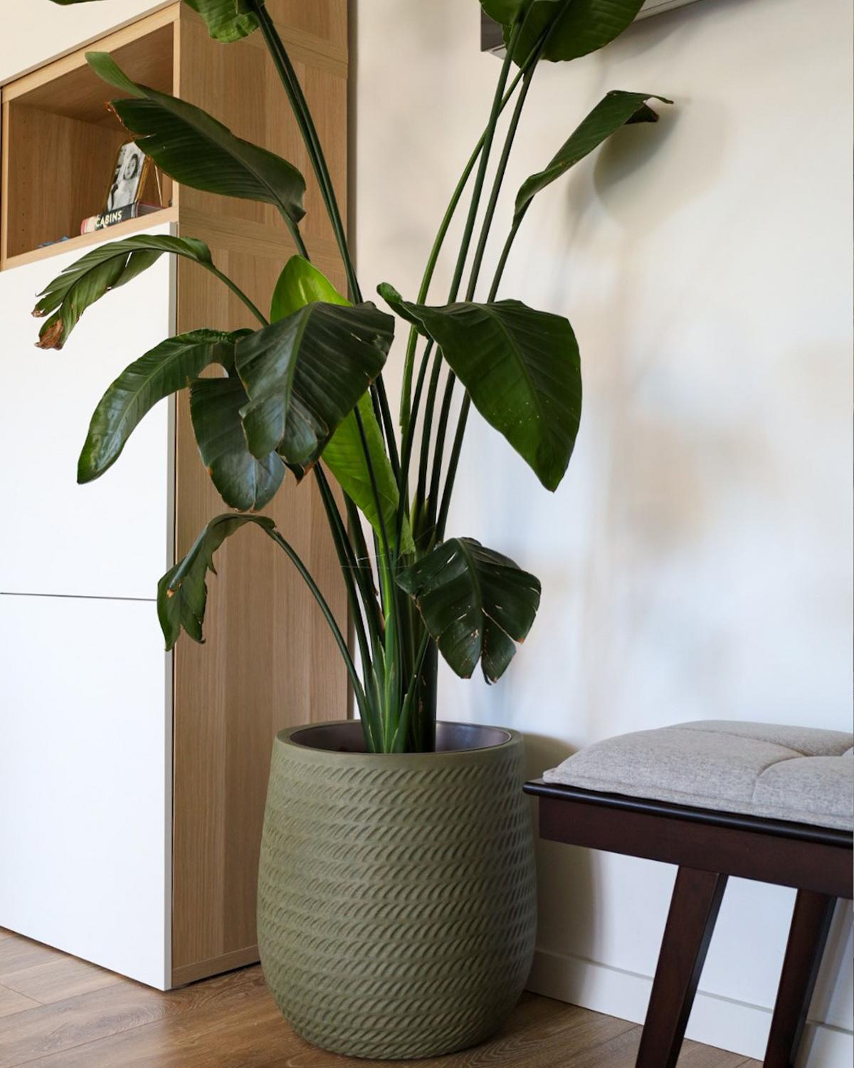 BLUMENTOPF olivgrün rund 39/39/44 cm Livadia - Grün, Naturmaterialen (44cm) - Beliani