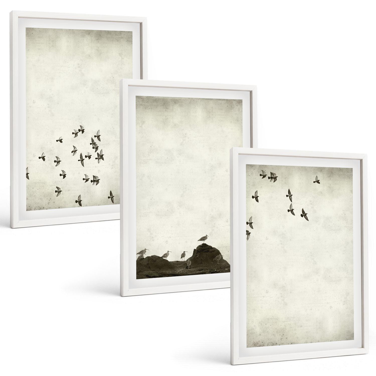 BILDER SET 3er Set - 40x60 cm Weißer Rahmen - Vögel im Flug, minimalistischer Stil - Weiß, Kunststoff (40/60cm) - TULUP