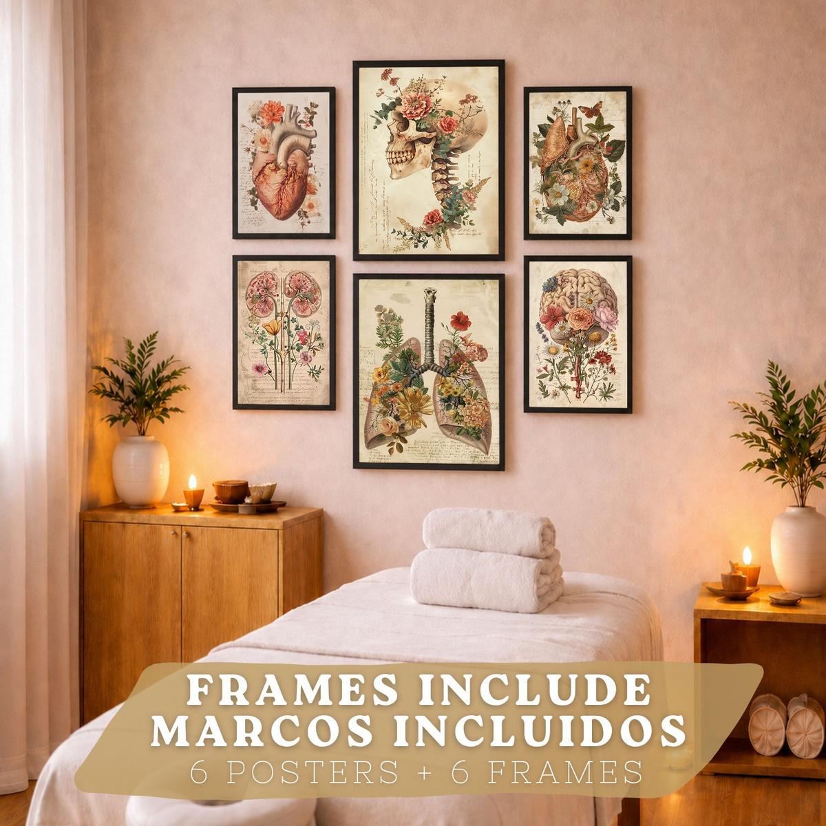POSTER Set aus 6 Botanische Anatomie Drucke mit Herz Lungen Wirbelsäule Becken und Rippen Beige Terrakotta Erdtöne Florales Schwarzer Rahmen A3 & A4 - Schwarz, Papier (29.7/42/3cm) - Nacnic
