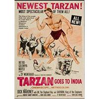 POSTER Filmtarzan Indien A3 Rahmenlos - Klar, Papier (29.7/5/42cm) - Nacnic