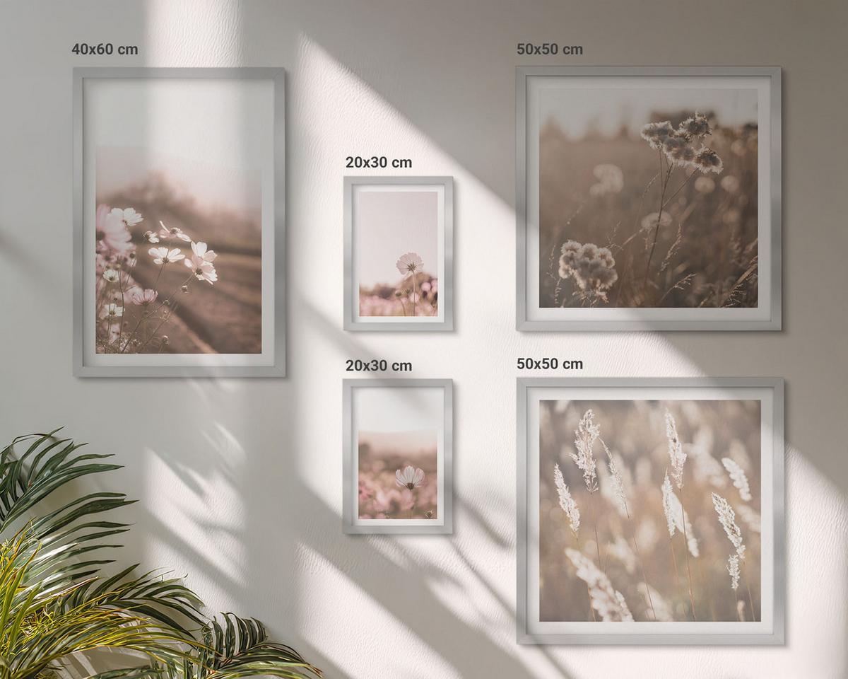BILDER SET 5er Set - 50x50 cm & 20x30 cm & 40x60 cm Silberner Rahmen - Wildblumen auf den Wiesen im Sommer - Silberfarben, Kunststoff (40/60cm) - TULUP