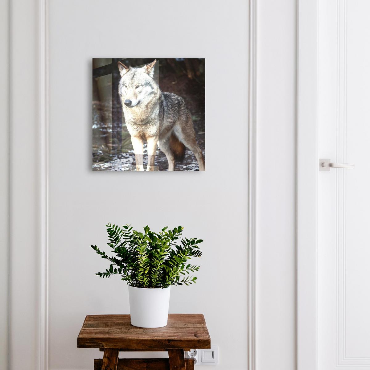 SCHLÜSSELBOX Schwarz 30x30 cm- Türöffnung nach rechts - Wolf im Wald - Grau, Metall (30/30/5cm) - TULUP