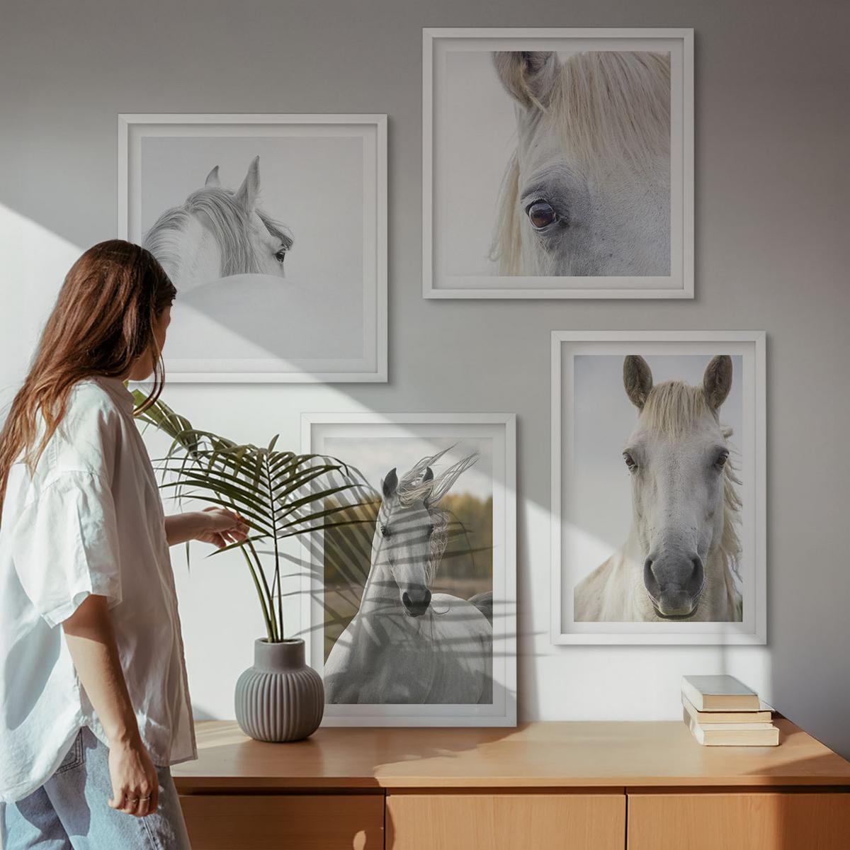 BILDER SET 4er Set - 50x50 cm & 40x60 cm Weißer Rahmen - Weiße Pferde - Weiß, Kunststoff (50/50cm) - TULUP