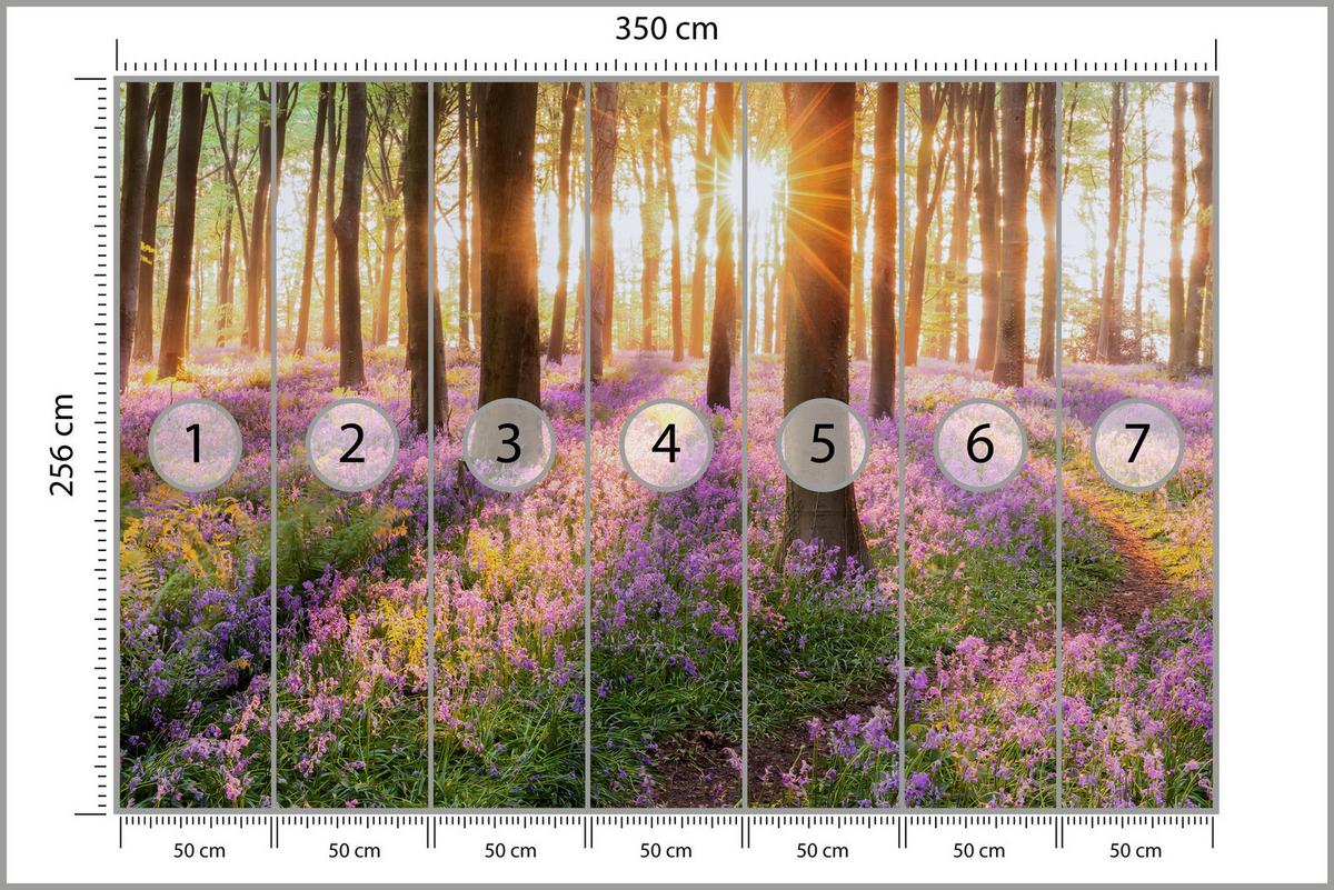 FOTOTAPETE Wald Blumen Sonnenaufgang Landschaft 3D 350x256 - Gelb/Beige, Papier (350/256cm) - Muralo