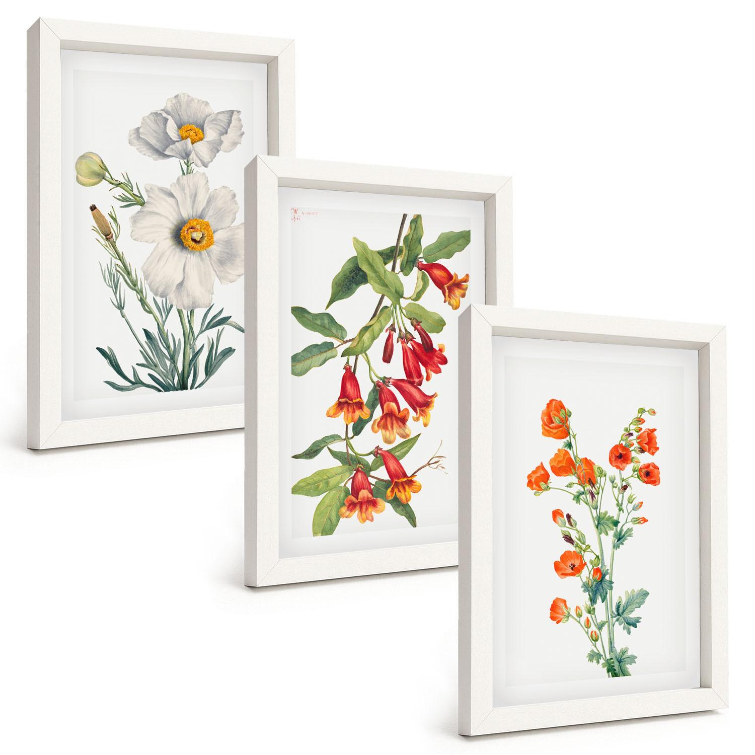 BILDER SET 3er Set - 20x30 cm Weißer Rahmen - Retro-Blumenarrangements - Weiß, Kunststoff (20/30cm) - TULUP