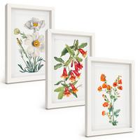 BILDER SET 3er Set - 20x30 cm Weißer Rahmen - Retro-Blumenarrangements - Weiß, Kunststoff (20/30cm) - TULUP