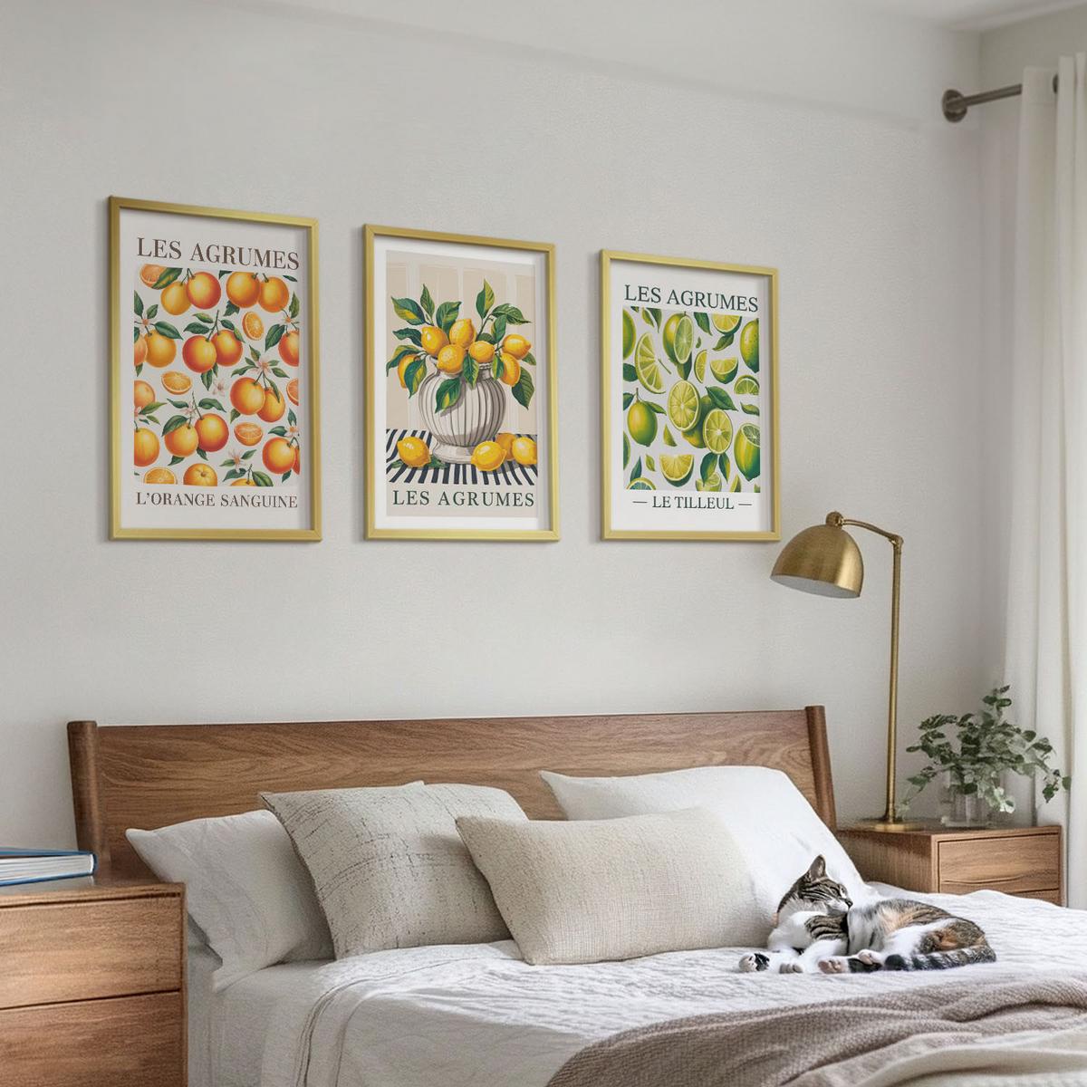 BILDER SET 3er Set - 40x60 cm Goldrahmen - Zitrusfrüchte in farbenfrohen Varianten - Goldfarben, Kunststoff (40/60cm) - TULUP