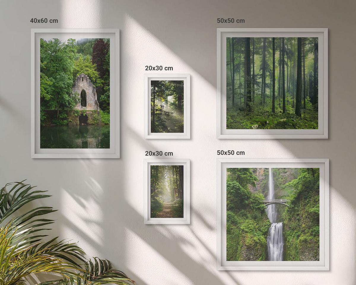 BILDER SET 5er Set - 50x50 cm & 20x30 cm & 40x60 cm Weißer Rahmen - Grüne Wälder, Lichtstrahlen - Weiß, Kunststoff (40/60cm) - TULUP
