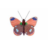 WANDDEKO Delias-Schmetterling 14/6 cm - Blau/Pink, Wellpappe (14/6/13cm) - Studio Roof