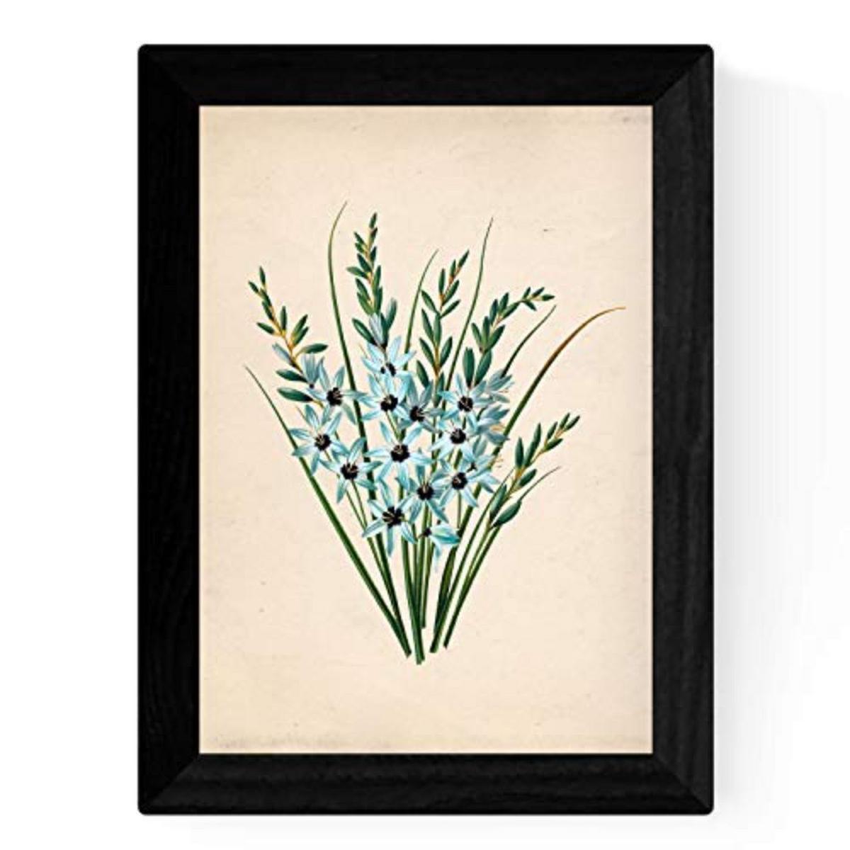 POSTER Set mit 4 Botanischen Stils Sensitive A3 Rahmenlos - Klar, Papier (29.7/3cm) - Nacnic