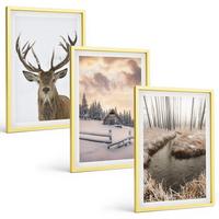 BILDER SET 3er Set - 40x60 cm Goldrahmen - Hirschhütte in Winterlandschaft - Goldfarben, Kunststoff (40/60cm) - TULUP