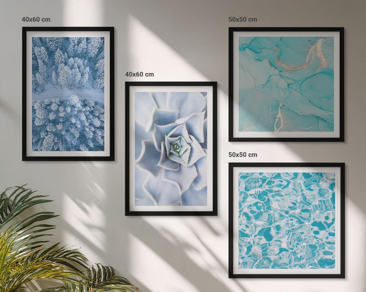 BILDER SET 4er Set - 50x50 cm & 40x60 cm Schwarzer Rahmen - Winterwald-Blaublume - Schwarz, Kunststoff (50/50cm) - TULUP