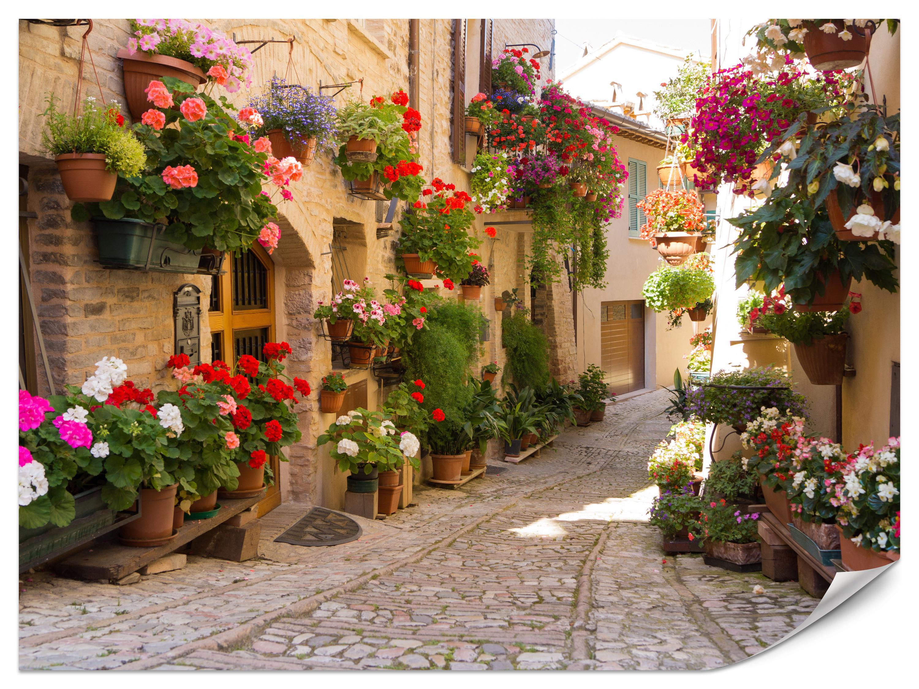 FOTOTAPETE für Wohnzimmer Italienische Steinstraße Blumen Pflanzene 350x256 - Beige/Rot, Papier (350/256cm) - Muralo