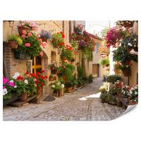 FOTOTAPETE für Wohnzimmer Italienische Steinstraße Blumen Pflanzene 350x256 - Beige/Rot, Papier (350/256cm) - Muralo