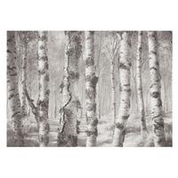 FOTOTAPETE 208x146 cm - Birkenwald - Schwarz, Textil (208/146cm) - Wallfluent