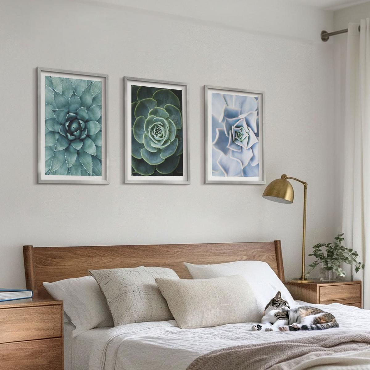 BILDER SET 3er Set - 40x60 cm Silberner Rahmen - Sukkulente Pflanzen grün türkis - Silberfarben, Kunststoff (40/60cm) - TULUP