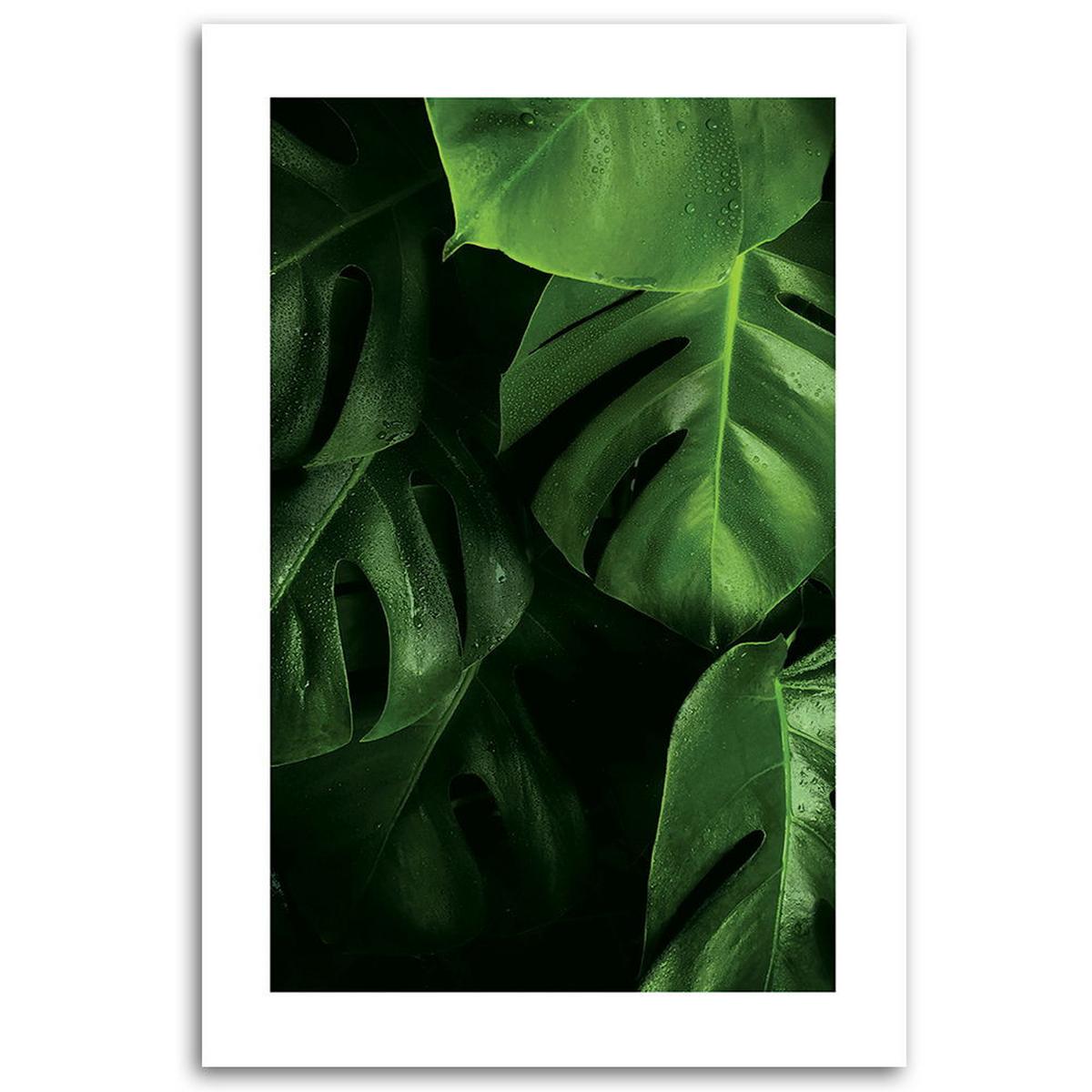KUNSTDRUCK Grün 70/100 cm - Grün, Textil (70/100cm) - KUNSTLOFT