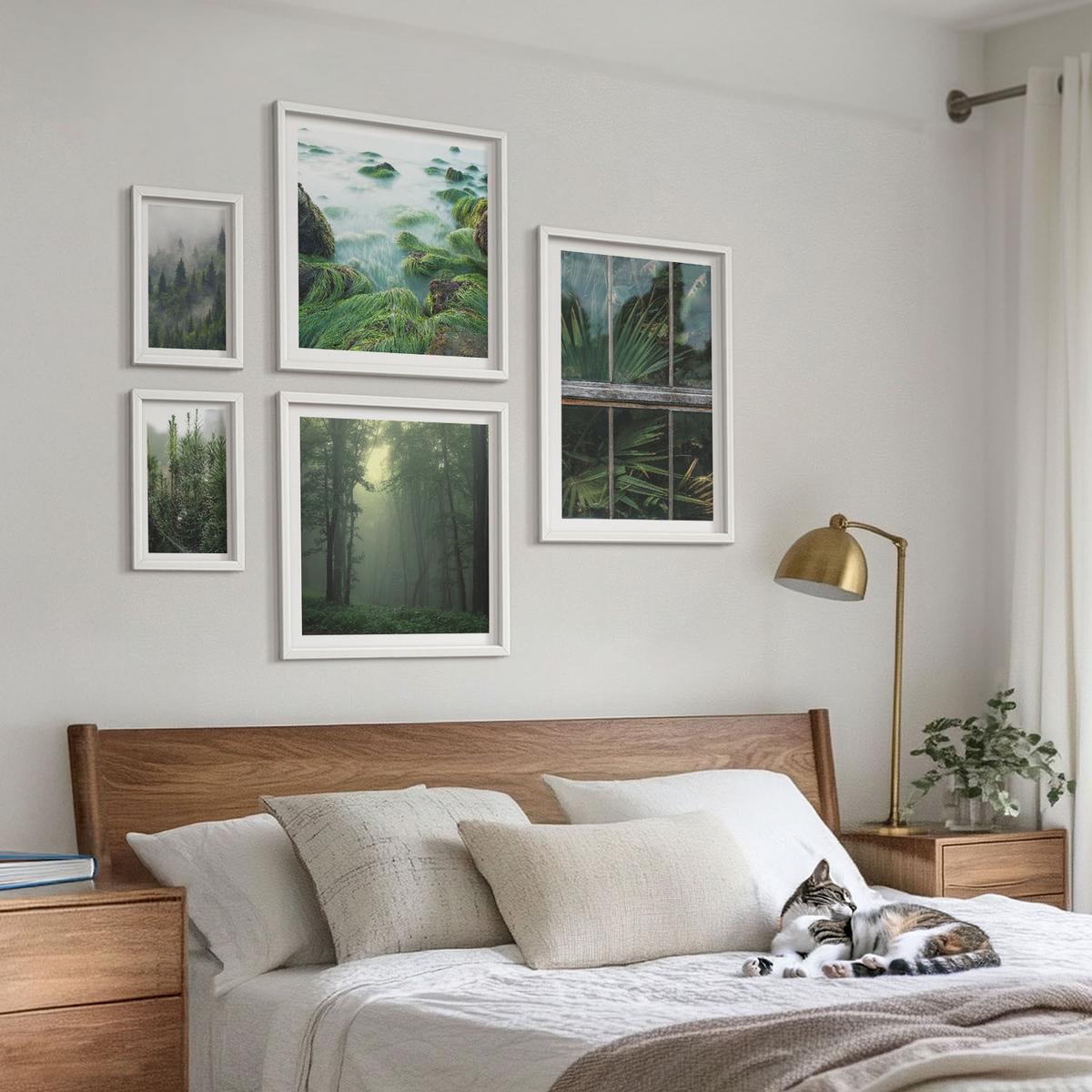 BILDER SET 5er Set - 50x50 cm & 20x30 cm & 40x60 cm Weißer Rahmen - Nahaufnahmen von Blättern sukkulenter Pflanzen - Weiß, Kunststoff (40/60cm) - TULUP