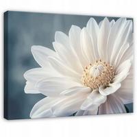 WANDBILD Blumen Abstrakt Wohnzimmer 100x70 - Multicolor, Holzwerkstoff (100/70cm) - Wallarena