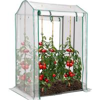 GEWACHSHAUS für Tomaten Transparent - Transparent, Metall (100/150/81cm) - COSTWAY