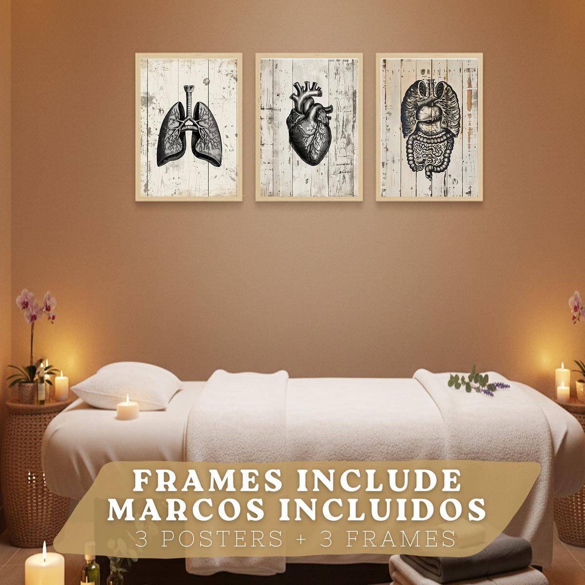 POSTER Set aus 3 Anatomie Mensch Drucke und Wandbilder mit Lungen Darm und Herz Rustikaler Stil Wanddekoration Größe Leichter Holzrahmen A4 - Beige, Papier (21/29.7/3cm) - Nacnic