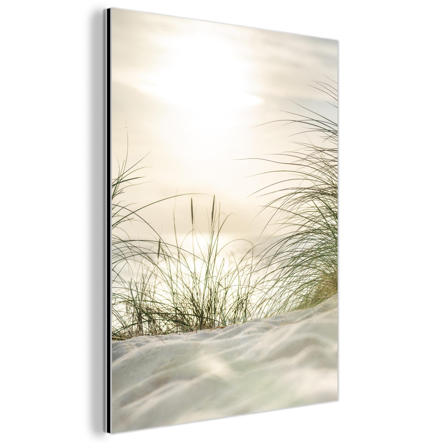 METALLBILD Dünen mit Strandhafer in der Sonne des Nationalparks Schleswig-Holsteinisches Wattenmeer 30x40 cm - Creme, Metall (30/40cm) - MuchoWow