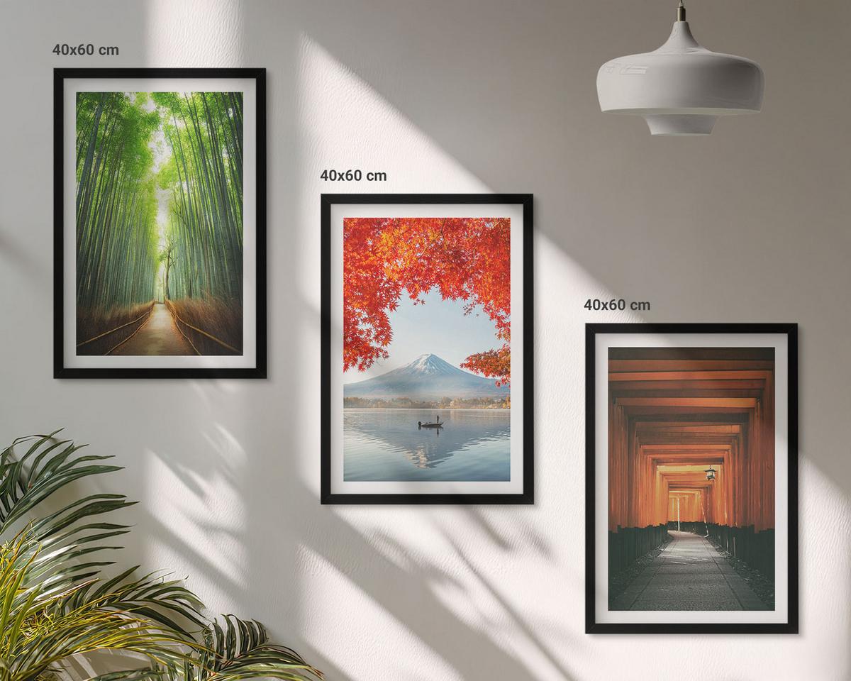 BILDER SET 3er Set - 40x60 cm Schwarzer Rahmen - Fuji-Bambuswaldlandschaft - Schwarz, Kunststoff (40/60cm) - TULUP
