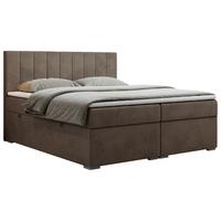 BOXBETT LOPE 120/200 - Braun Velvet - H4 - Braun, Holz/Textil (120/200cm)