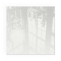 GLASPLATTE für Kamin 50x50 cm - Grau, Glas (50/50/0.4cm) - TULUP