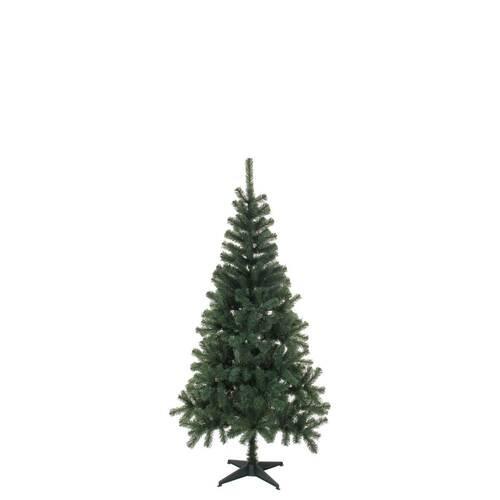 Weihnachtsbaum Edwards