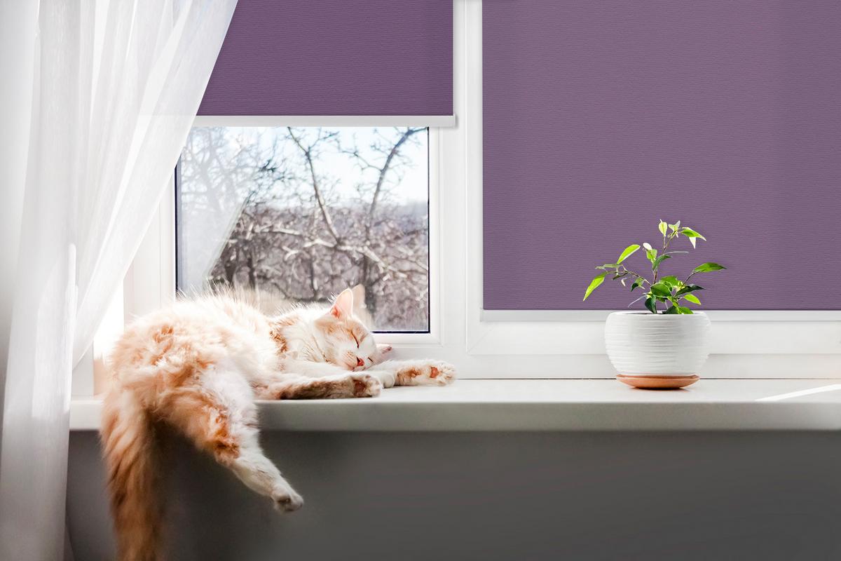INNENROLLO - Fensterrollo - Rollo - 150x140 cm - Lila - Violett, Kunststoff (150/140/0.5cm) - TULUP
