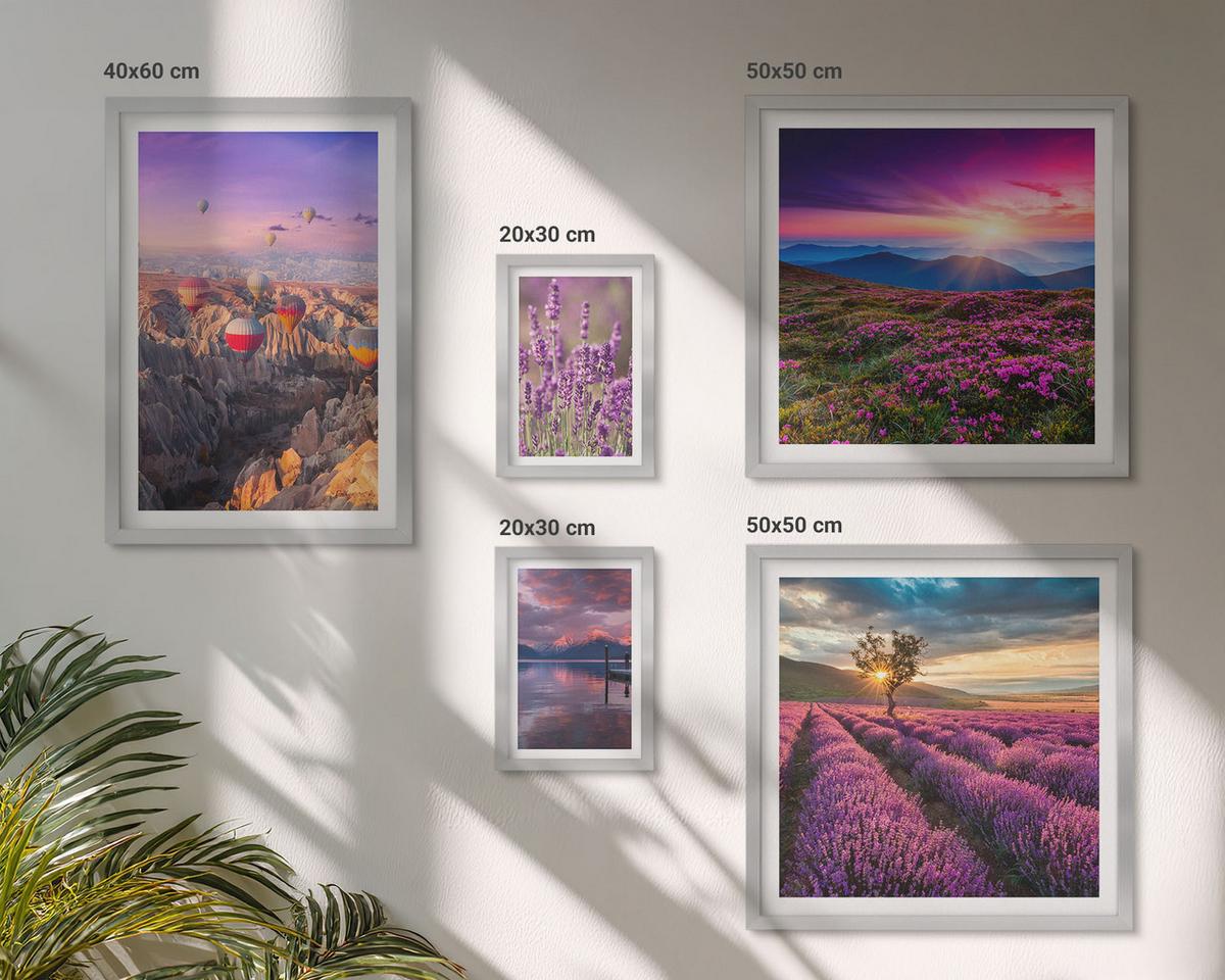 BILDER SET 5er Set - 50x50 cm & 20x30 cm & 40x60 cm Silberner Rahmen - Sonnenuntergang auf Lavendelfeldern - Silberfarben, Kunststoff (40/60cm) - TULUP