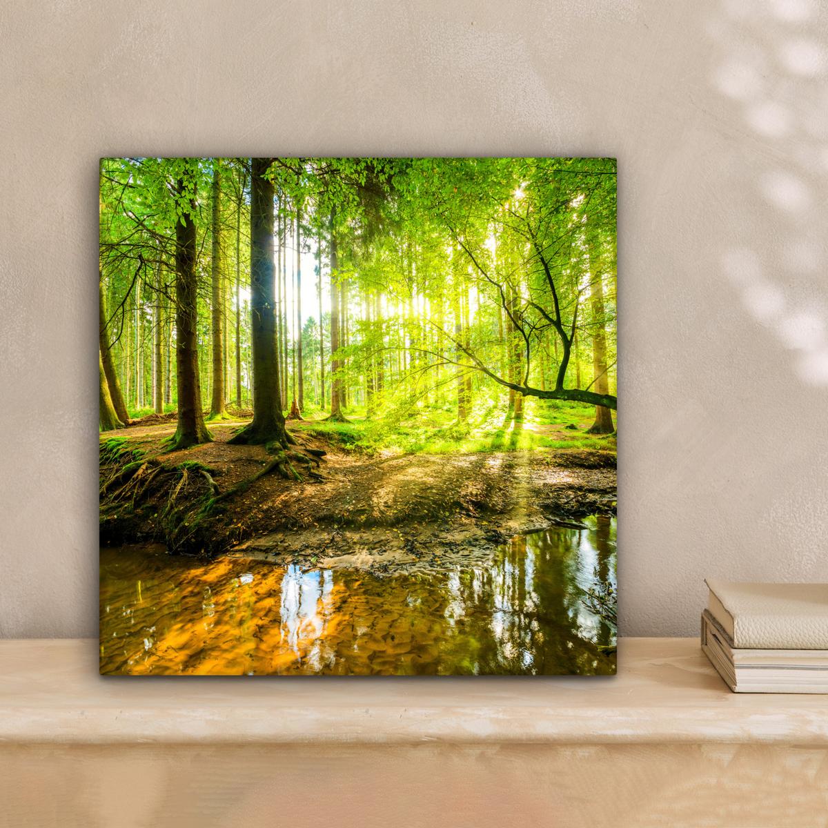 LEINWANDBILD Wald - Landschaft - Wasser - Bäume - Sonne - Grün - Natur Deko Wohnzimmer 20x20 cm - Grün, Textil (20/20cm) - MuchoWow