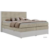 BOXSPRINGBETT DELVIT KING 200/200 - Beige Velvet - Topper Visco - H3 - Beige/Schwarz, Kunststoff/Textil (200/200cm) - MKS