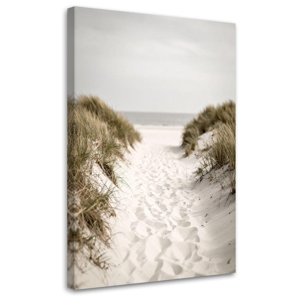 LEINWANDBILD Weg zum Strand Dünen Landschaft 40x60cm - Beige, Textil (40/60cm) - Feeby