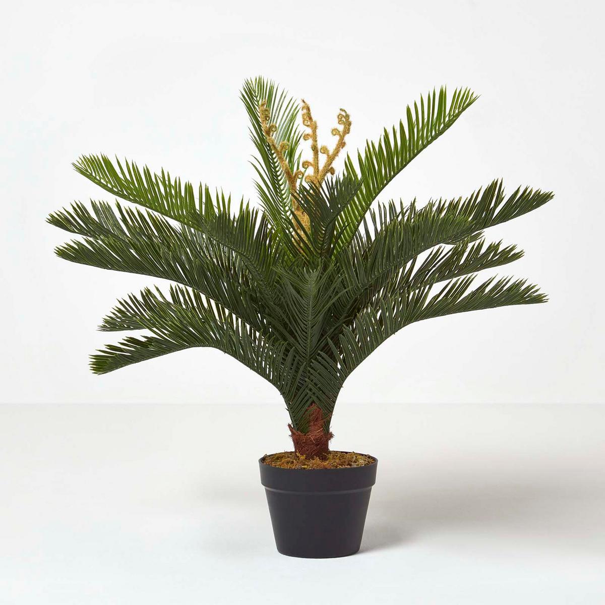 KUNSTPFLANZE Palmfarn grün, 75 cm - Grün, Kunststoff (75cm) - Homescapes