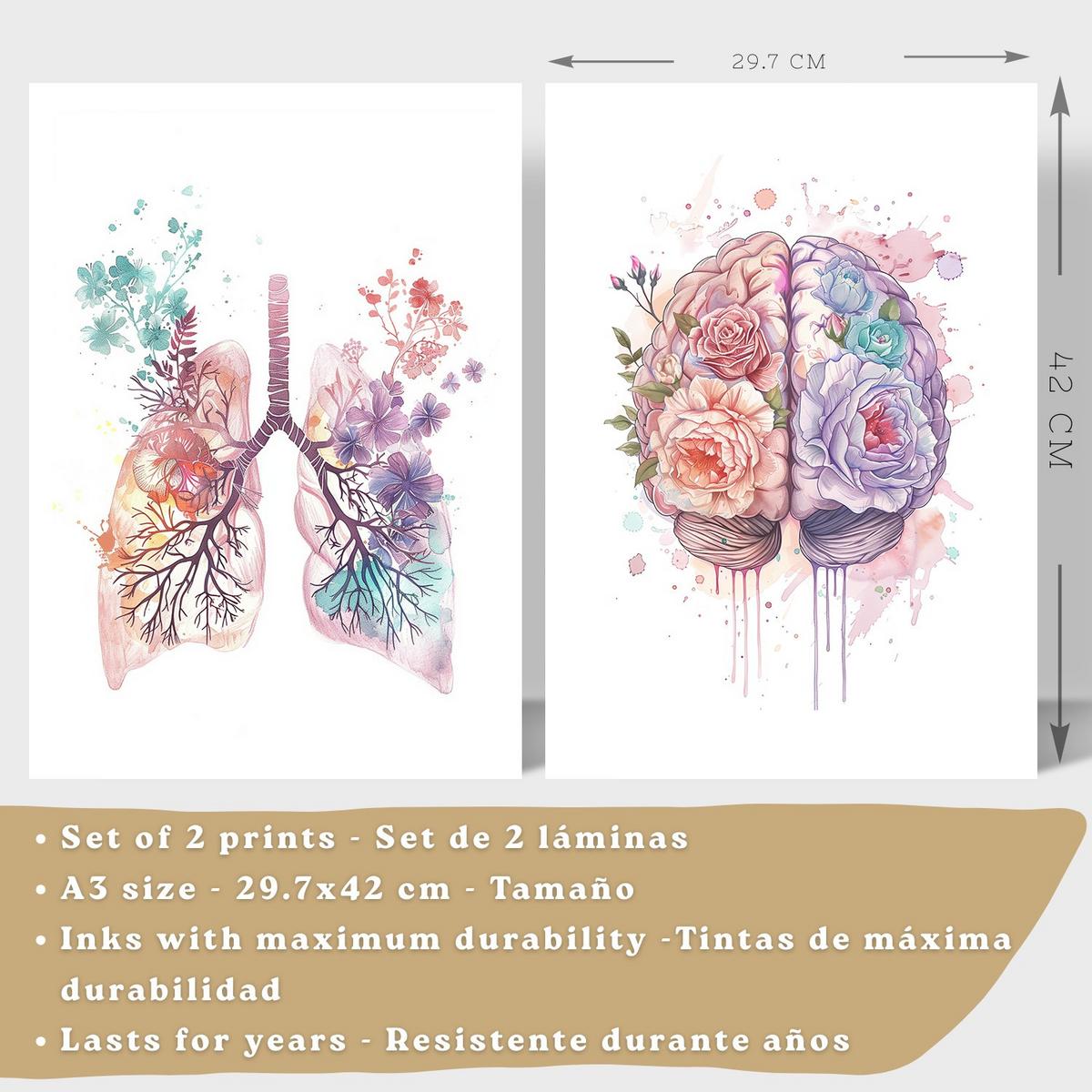 POSTER Set aus 2 Anatomie Mensch Drucke und mit Lungen Luftröhre Bronchien und Gehirn Pastellfarbenes Florales Aquarell Größe Leichter Holzrahmen A3 - Beige, Papier (29.7/42/3cm) - Nacnic