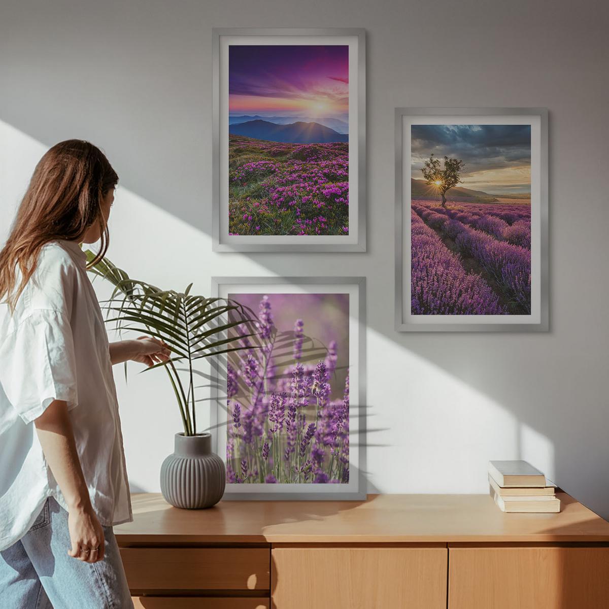 BILDER SET 3er Set - 40x60 cm Silberner Rahmen - Sonnenuntergang auf Lavendelfeldern - Silberfarben, Kunststoff (40/60cm) - TULUP