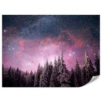 FOTOTAPETE für Schlafzimmer Verzauberter Tannenwald Winter Aurora 350x256 - Violett/Schwarz, Papier (350/256cm) - Muralo