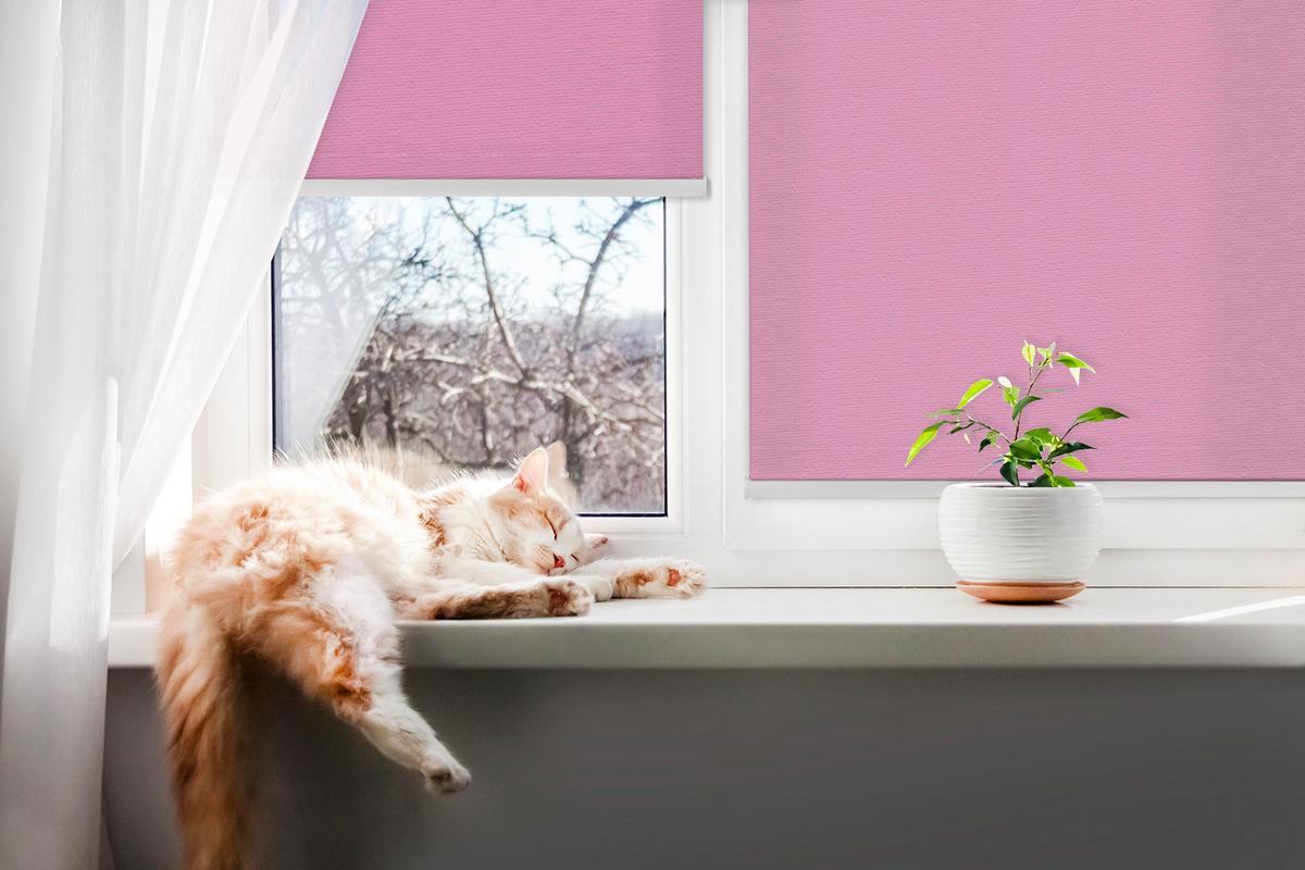 INNENROLLO - Fensterrollo - Rollo - 100x100 cm - Rosa - Pink, Kunststoff (100/100/0.5cm) - TULUP