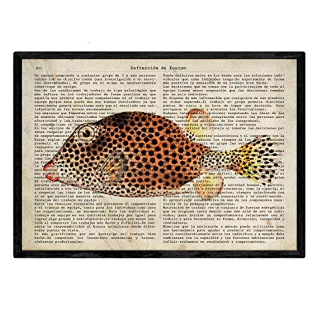 POSTER Set mit 4 Enzyklopädie mit Fische in verschiedenen Farben A4 Schwarzer Rahmen - Schwarz, Papier (29.7/3cm) - Nacnic