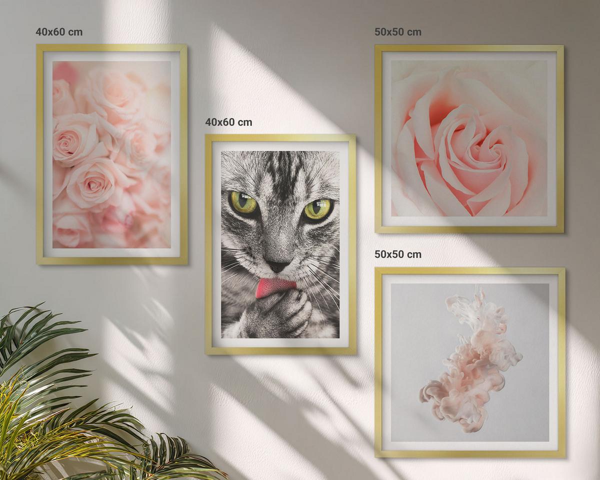 BILDER SET 4er Set - 50x50 cm & 40x60 cm Goldrahmen - Abstrakte Darstellung von grauen Katzenrosen - Goldfarben, Kunststoff (50/50cm) - TULUP