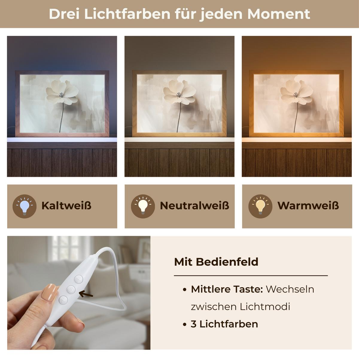 WANDLEUCHTE Blume - Beige - Farbe - Schatten 30x20 cm - Beige, Holzwerkstoff (30/20/8cm) - OnlyWow