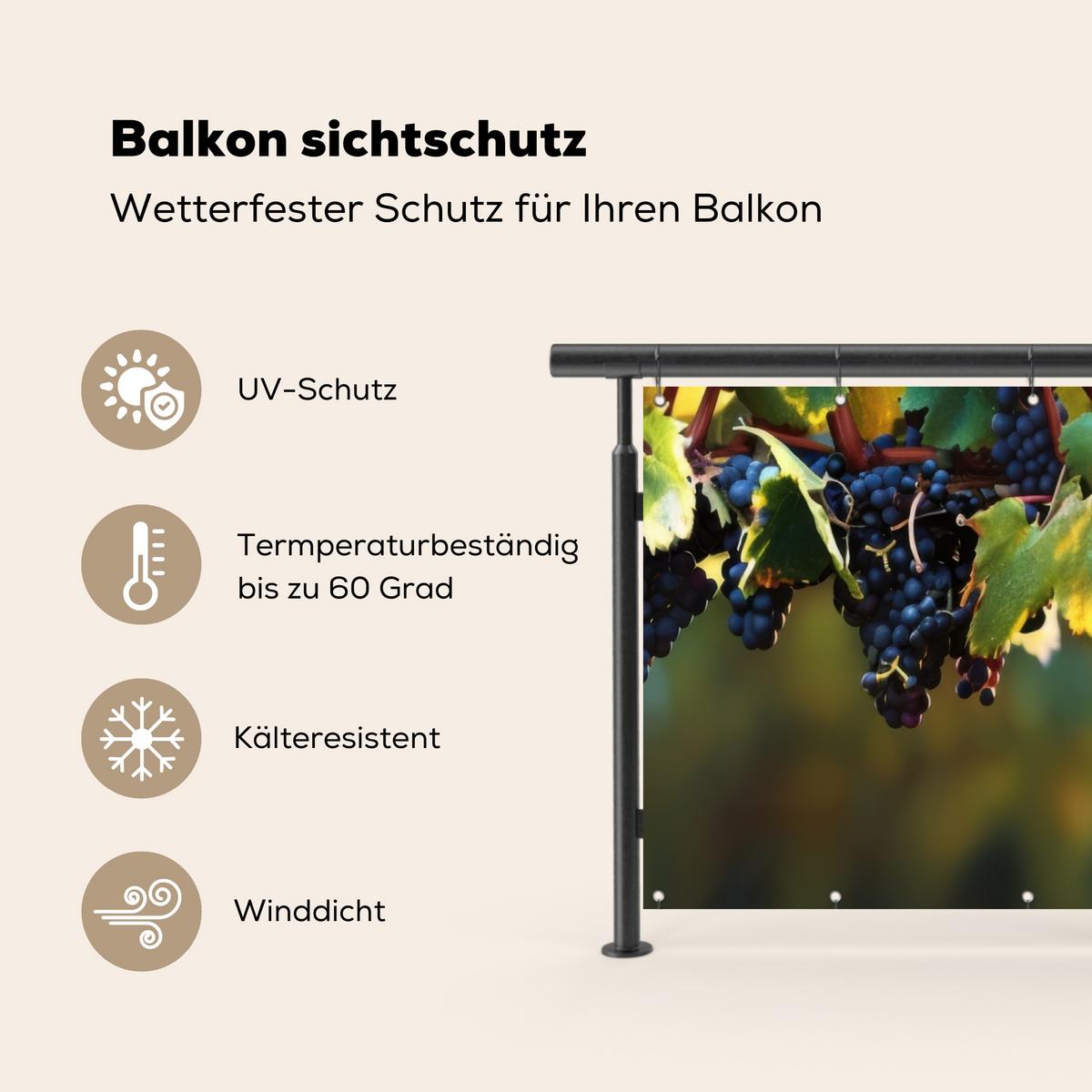 BALKON-SICHTSCHUTZ Trauben - Wein - Natur - Grün Witterungsbeständig 200x110 cm - Weinrot, Kunststoff (200/110cm) - MuchoWow