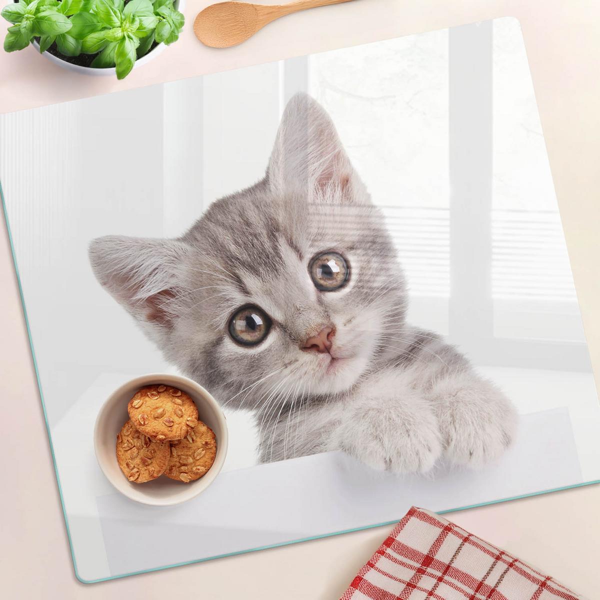 GLASPLATTE 60x52 cm Graue Katze - Dunkelgrau/Grau, Glas (60/52cm) - TULUP